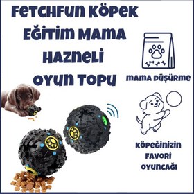 Resim FetchFun Köpek Eğitim Mama Hazneli Oyun Topu 