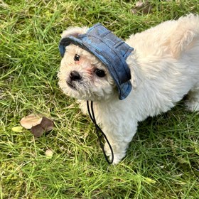Resim Kulakları Açık Güneşlikli Sevimli Balıkçı Şapkası Ayısı ile Köpek Şapkası - Güneş Koruma 