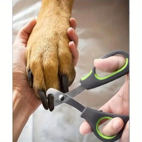 Resim Köpek & Papağan Tırnak Makası - Yeşil Kaymaz Saplı Paslanmaz Çelik Bıçak, Küçük/Orta/Büyük Köpekler ve Kuşlar için Güvenli & Hızlı Kesim, Kaymaz Tutuşlu Evcil Hayvan Bakım Aleti 