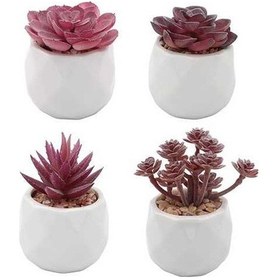 Resim Pazly Yapay Yapay Sukulent Simülasyon Seti Seramik Saksı Parti Ofis Oda Mutfak Mor Hediye Ev Düğün Dekoru Dekoratif Bitki Bahçe Adet 4 Wv 