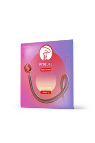 Resim Hype Store Pitbull Elektro Gitar Teli Venüs Seri VEG 10-46 L 