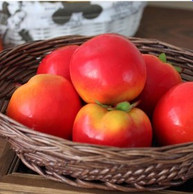 Resim Yapay Meyve Sebze Domates 