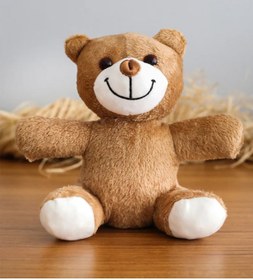 Resim Canestar - Bebek Dış Kundak (uyku tulumu) SARI - YANINDA HEDİYE PELUŞ AYI - UYKU ARKADAŞI PELUŞ AYI 