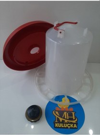 Resim Mh Kulplu Civciv Tavuk Suluğu Ayaksız 6 L 