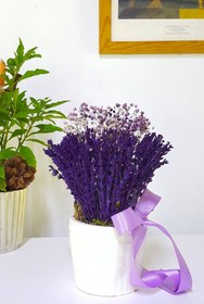 Resim çiçekseli Beyaz Saksıda Mor Lavanta Ve Cipso & Hediye Dekoratif Çiçek & 20-22 Cm 