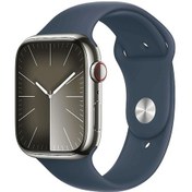 Resim Apple Watch Series 9 GPS + Cellular 45 MM Çelik Kasa Spor Kordon M/L Akıllı Saat (Apple Türkiye Garantili) 