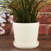 Resim Ang Design Seramik Tabaklı Saksı - Krem - 14 cm 