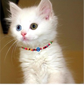 Resim Bijustore Karışık Renk Bambu Boncuk Nazar Boncuklu Kedi Tasması 