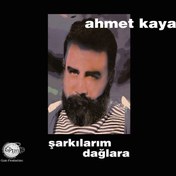 Resim Ahmet Kaya - Şarkılarım Dağlara Plak 