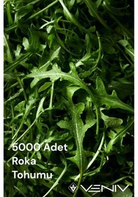 Resim 5000 Adet Roka Tohumu 2 Paket 
