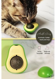 Resim Sevimli Yapışkanlı Kedi Çimi Avokado Catnip | Kedi Çimi Nane Topu 