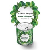 Resim Leyloş Buffer® Konserve Bahçem Evde Konservede Dereotu Yetiştirme Kiti Aparatı 