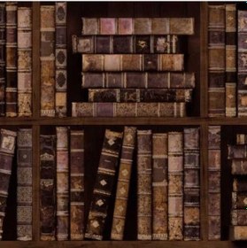 Resim Mida Kore Duvar Kağıdı 7020-2 16,5m2 