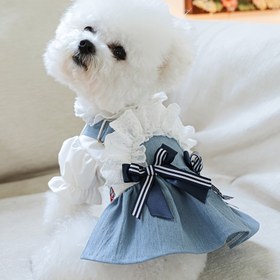 Resim Deniz Esintisi Tatil Elbisesi Taklit Kot Etek - Küçük Köpekler için Pet Prenses Stili Elbise, İlkbahar ve Sonbahar Giyimi 