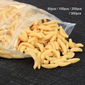 Resim 50/100/200/300 adet Simüle Maggot Yemi, 2Cm/0.79 İnç Gerçekçi Yapay Yumuşak Böcek Yemi, Balıkçılık Malzemeleri, Yapay Balık Yemi, Tatlı ve Tuzlu Su için Uygun. Sahte Yem > Balıkçılık Yemi, Açık Hava Balıkçılık Aksesuarları 