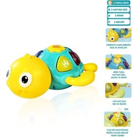 Resim Jlg-855-100a Işıklı Ve Müzikli Kaplumbağa -vardem 