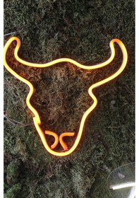 Resim Neon Tabela Neon Dekoratif Duvar Aydınlatması Hayvan Renkli 