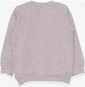Resim Breeze Kız Çocuk Sweatshirt Sevimli Hayvancıklar Baskılı 1.5-5 Yaş, Bej Melanj-bej Melanj Bej Melanj 
