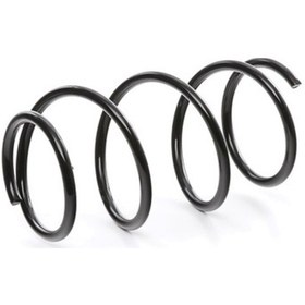 Resim Helezon Yayı Ön Bmw E46 M43 