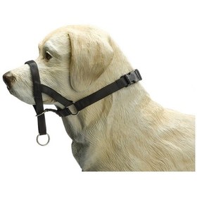 Resim Beeztees Köpek Eğitim Tasması, Baş Kontrollu, Siyah, Xs 