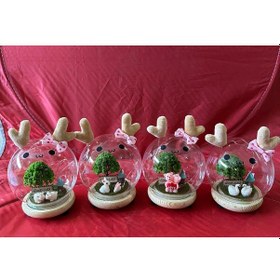 Resim Hayvan Temalı Tombul Fanus Diğer 