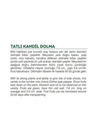 Resim AGRodal Tarım Ata Tohumu Tatlı Kandil Dolma Biberi 100 Adet Tohum 