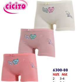 Resim Cicito Kız Çocuk Pamuklu Renkli Likralı Boxer 3'lü Paket 6300 