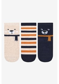 Resim Penti Erkek Çocuk Cold Bear 3lü Çok Renkli Soket Çorap 