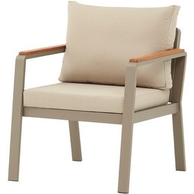 Resim Parma Tekli Koltuk 