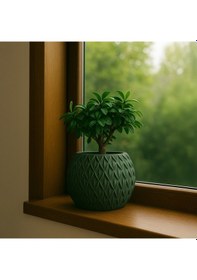 Resim Yeşil Modern Tasarım Dekoratif Saksı 