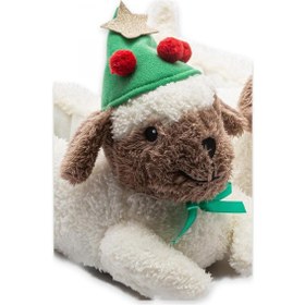 Resim Twigy Ee0554 Tw Fiona Beyaz Kadın Panduf Beyaz 