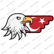 Resim Türk Bayrağı Ve Kartal Sticker 00727 