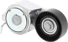 Resim Fiat Egea Alternatör Gergi Rulmanı 1.2-1.6 / 8V-16V Orijinal OPAR 55258443 