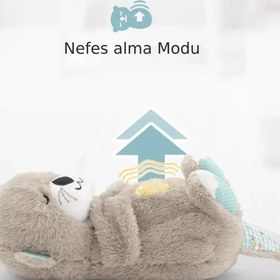 Resim Nefes Alan Uyku Arkadaşı Su Samuru - Pembe Su Samuru 