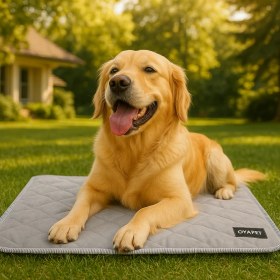 Resim Kedi Köpek Serinletme Matı – Soğutucu Minder & Yatak (Yazlık) 