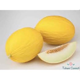 Resim 100 Adet Nadir Sarı Afgan Bal Kavun Tohumu Hediye Tohumludur Kav 