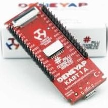 Resim Deneyap Kart 1A 
