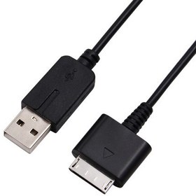 Resim PSP GO 2in1 Şarj ve Data Kablosu PSP GO Uyumlu USB Şarj Kablosu 