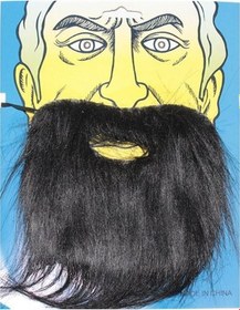 Resim Siyah Renk Takma Sakal Bıyık Takımı 