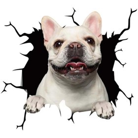 Resim papri 3d Hayvan Desenli French Köpek Figürlü Sticker Etiketi 