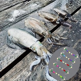 Resim 10 adet Seti, Lüminesan Paslanmaz Çelikten Yapılmış, Karanlıkta Parlayan Balıkçılık saç tokası, Karides Tutucu saç tokası ile Donatılmış, Tuzlu ve Tatlı Su Yapay Karides Yemi için Uygun. 