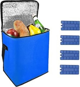 Resim Genel Markalar Ankanorm Termos Çanta Ve 4 Adet Buz Kaseti Soğuk Sıcak Yalıtımlı 21 Lt. Araç Oto Piknik Kamp Plaj O 