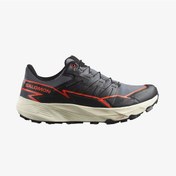 Resim Salomon Thundercross Gtx Erkek Gri Koşu Ayakkabısı - L47684500 