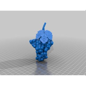 Resim Opencart Toscana Şaraplık Üzüm Sadece Plastik Aparattır 