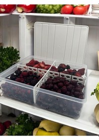 Resim Selka Nora 2 Adet 4 Lt. Bölmeli Saklama Kabı Açık Gri 