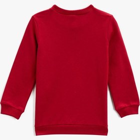 Resim Erkek Bebek Hayvanlar Baskılı Sweatshirt Bisiklet Yaka Pamuklu 
