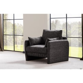 Resim Vivense WİLLOW BERJER, ANTRASİT 