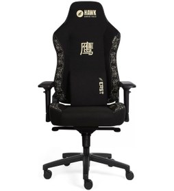 Resim Hawk Gaming Chair Future East Kumaş Oyuncu Koltuğu Cccc1hwk0028 Renkli 