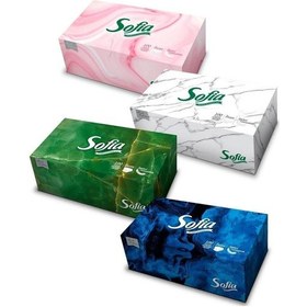 Resim Sofia Kutu Mendil 4x100'lü 