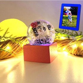 Resim Kişiye Özel Renkli Işıklı ve Fotoğraflı Tasarım Pandalı Kar Küresi Hediyesi 